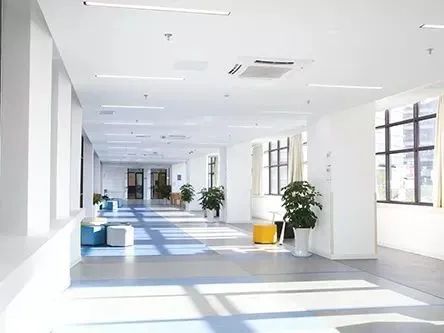 2021年11月雅思考試閱讀機經回顧+參考答案