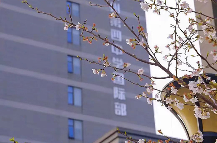 3 杭四中國(guó)際部好考嗎？錄取分?jǐn)?shù)線多少？1.jpg