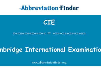 劍橋CIE：商學經(jīng)濟寫作考試注意事項