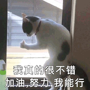 3 國際高中銜接課，暑期無縫銜接國際課程3.jpg