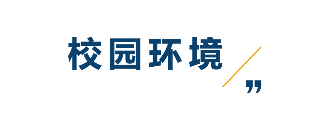 7 上海星河灣雙語(yǔ)學(xué)校簡(jiǎn)介_(kāi)課程_招生學(xué)費(fèi)6.png
