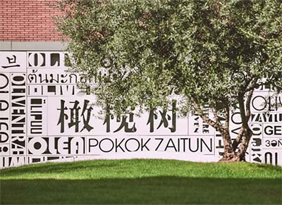 杭州橄欖樹學校怎么樣？2枚牛劍預錄取offer！