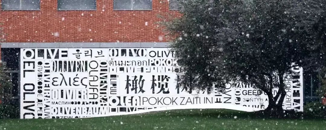 6 杭州20+所國際學校學費大盤點，最少僅7萬年19.jpg