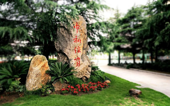 上海學費低于15萬的國際高中盤點，性價比極高