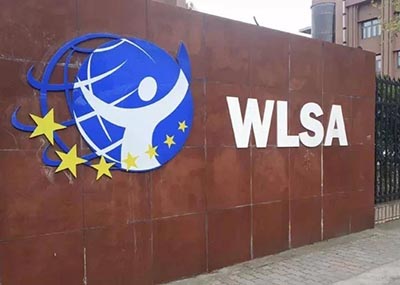 2024年WLSA上海學校春招考試試題回顧，難度大！