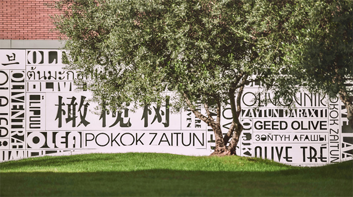杭州橄欖樹(shù)學(xué)校2024年招生簡(jiǎn)章，接連兩屆獲劍橋offer