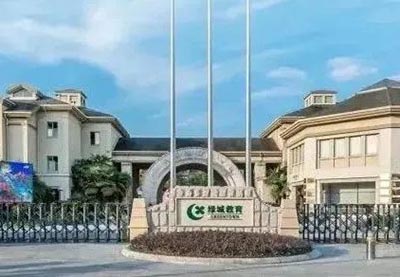 杭州綠城育華學校DSD中德班2024年招生實施辦法