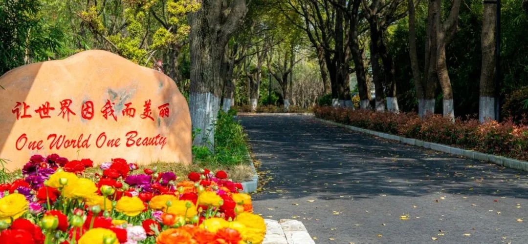 3 上海籽奧高中2024年秋季開啟招生，學(xué)費23萬元年1.jpg