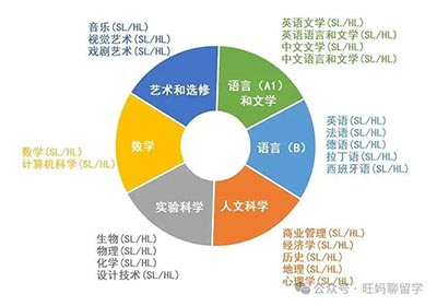 三大主流國際課程體系AP、ALevel、IB哪個補課多