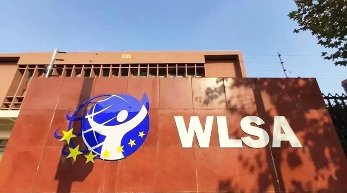 WLSA上海學(xué)校2025年秋招考試真題(2025.3.15場)