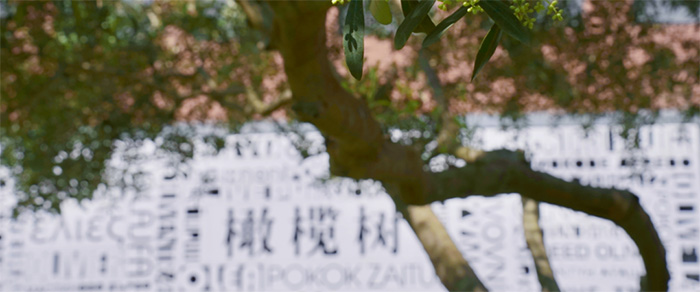 2 杭州地區(qū)開設(shè)DSE課程國際學(xué)校盤點(diǎn)3.jpg